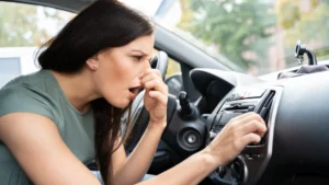Smell form car