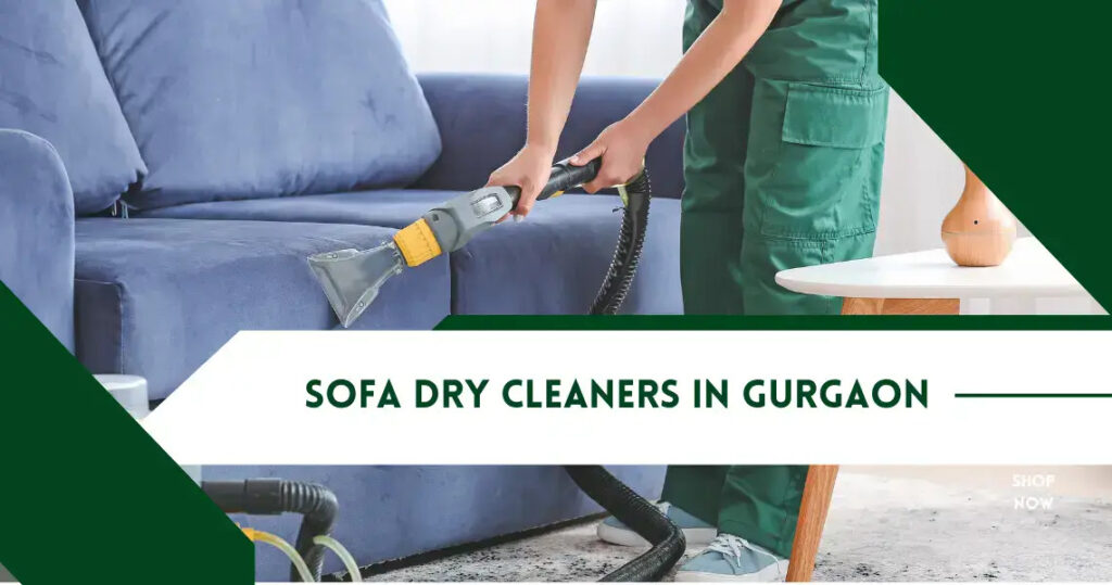 sofa and carpet cleaner in gurgoan