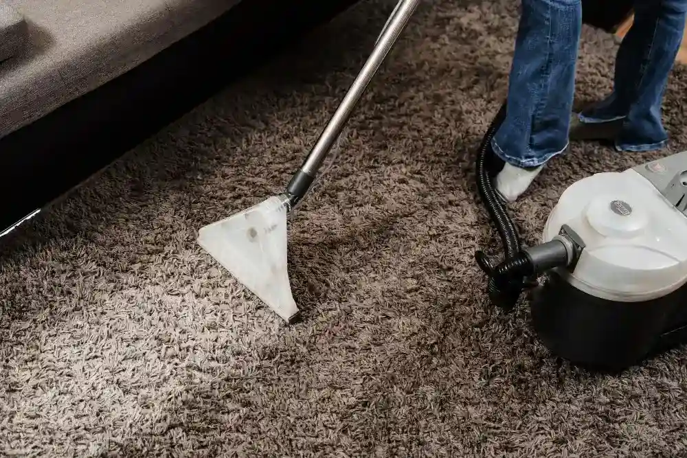 Specialized Carpet Dry Cleaning Service In Gurgaon