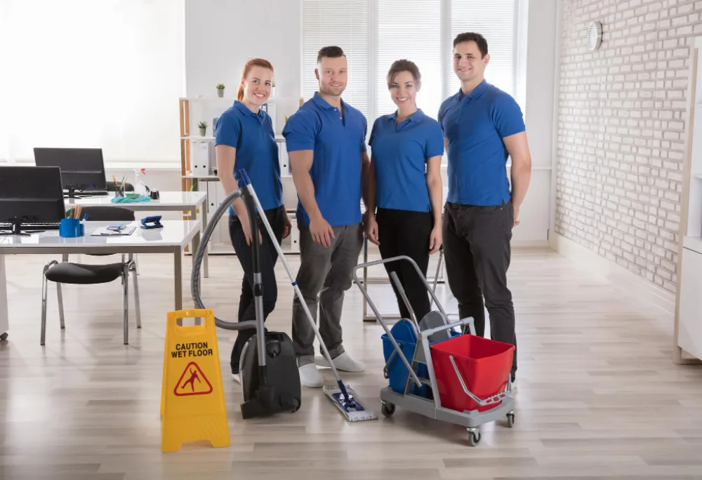 Experienced Professionals cleaner